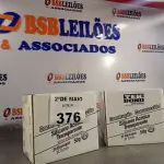 LOTE 376 - 02 CAIXAS COM BISNAGAS DE SILICONE ACÉTICO TRANSPARENTE COM 24 CADA. (NO ESTADO, LEILÃO NÃO TEM GARANTIA E NEM DEVOLUÇÃO, SUJEITO A POSSÍVEIS AVARIAS VISÍVEIS/OCULTAS E/OU AUSÊNCIA DE COMPONENTES).