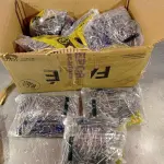 LOTE 196 - 20 KG PREGO C/CABEÇA 17 X 21 MM - GERDAU (NO ESTADO, NÃO SABEMOS SE FUNCIONA. LEILÃO NÃO TEM GARANTIA E NEM DEVOLUÇÃO, SUJEITO A POSSÍVEIS AVARIAS VISÍVEIS/OCULTAS E/OU AUSÊNCIA DE COMPONENTES)