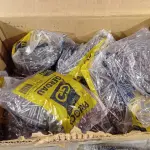 LOTE 196 - 20 KG PREGO C/CABEÇA 17 X 21 MM - GERDAU (NO ESTADO, NÃO SABEMOS SE FUNCIONA. LEILÃO NÃO TEM GARANTIA E NEM DEVOLUÇÃO, SUJEITO A POSSÍVEIS AVARIAS VISÍVEIS/OCULTAS E/OU AUSÊNCIA DE COMPONENTES)