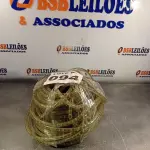 LOTE 094 - 01 – MANGUEIRA DE LED (NO ESTADO, NÃO SABEMOS SE FUNCIONA. LEILÃO NÃO TEM GARANTIA E NEM DEVOLUÇÃO, SUJEITO A POSSÍVEIS AVARIAS VISÍVEIS/OCULTAS E/OU AUSÊNCIA DE COMPONENTES)