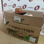 LOTE 042 - 01 CAIXA COM SAPATOS DIVERSOS E CHAPÉUS (NO ESTADO, NÃO SABEMOS SE FUNCIONA. LEILÃO NÃO TEM GARANTIA E NEM DEVOLUÇÃO).