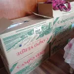 LOTE 041 - 04 CAIXAS COM ROUPAS FEMININAS (NO ESTADO, NÃO SABEMOS SE FUNCIONA. LEILÃO NÃO TEM GARANTIA E NEM DEVOLUÇÃO).