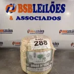LOTE 288 - 140 METROS CORDA SISAL 10MM (NO ESTADO, NÃO SABEMOS SE FUNCIONA. LEILÃO NÃO TEM GARANTIA E NEM DEVOLUÇÃO, SUJEITO A POSSÍVEIS AVARIAS VISÍVEIS/OCULTAS E/OU AUSÊNCIA DE COMPONENTES)