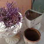 LOTE 264 - 05 JARROS EM CIMENTO E BARRO PARA PLANTAS (NO ESTADO, NÃO SABEMOS SE FUNCIONA. LEILÃO NÃO TEM GARANTIA E NEM DEVOLUÇÃO).