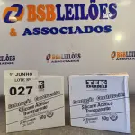 LOTE 027 - 02 CAIXAS COM BISNAGAS DE SILICONE ACÉTICO TRANSPARENTE 50G. (NO ESTADO, LEILÃO NÃO TEM GARANTIA E NEM DEVOLUÇÃO, SUJEITO A POSSÍVEIS AVARIAS VISÍVEIS/OCULTAS E/OU AUSÊNCIA DE COMPONENTES).
