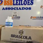 LOTE 015 - 02 CAIXAS COM COLA TUBO ST BRASCOLA 15 FRASCOS CADA. (NO ESTADO, LEILÃO NÃO TEM GARANTIA E NEM DEVOLUÇÃO, SUJEITO A POSSÍVEIS AVARIAS VISÍVEIS/OCULTAS E/OU AUSÊNCIA DE COMPONENTES).