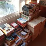 LOTE 102 - 01 LOTE COM LIVROS DIVERSOS E ENCICLOPÉDIA (NO ESTADO, NÃO SABEMOS SE FUNCIONA. LEILÃO NÃO TEM GARANTIA E NEM DEVOLUÇÃO).