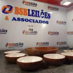 LOTE 192 - CUNHAS DE BARRO (NO ESTADO, NÃO SABEMOS SE FUNCIONA. LEILÃO NÃO TEM GARANTIA E NEM DEVOLUÇÃO).