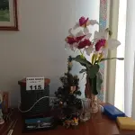 LOTE 115 - 01 LOTE COM OBJETOS PARA DECORAÇÃO (NO ESTADO, NÃO SABEMOS SE FUNCIONA. LEILÃO NÃO TEM GARANTIA E NEM DEVOLUÇÃO).