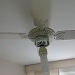 LOTE 069 - 01 VENTILADOR DE TETO (NO ESTADO, NÃO SABEMOS SE FUNCIONA. LEILÃO NÃO TEM GARANTIA E NEM DEVOLUÇÃO).