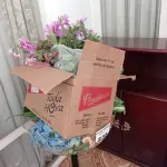LOTE 238 - 01 TAÇA EM ACRÍLICO E PLANTAS ARTIFICIAIS PARA DECORAÇÃO (NO ESTADO, NÃO SABEMOS SE FUNCIONA. LEILÃO NÃO TEM GARANTIA E NEM DEVOLUÇÃO).