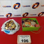 LOTE 106 - 01 LOTE COM BROCHES DIVERSOS (NO ESTADO, NÃO SABEMOS SE FUNCIONA. LEILÃO NÃO TEM GARANTIA E NEM DEVOLUÇÃO).