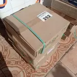 LOTE 252 - 05 CAIXAS COM PASTILHAS DIVERSAS (NO ESTADO, NÃO SABEMOS SE FUNCIONA. LEILÃO NÃO TEM GARANTIA E NEM DEVOLUÇÃO).