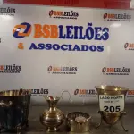 LOTE 205 - 01 LOTE COM ARTIGOS PARA DECORAÇÃO (NO ESTADO, NÃO SABEMOS SE FUNCIONA. LEILÃO NÃO TEM GARANTIA E NEM DEVOLUÇÃO).