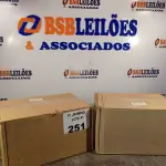 LOTE 251 - 02 CAIXAS COM ÁLCOOL EM GEL 70º INPM COM HIDRATANTE 440G 12 1UNIDADES CADA. (NO ESTADO, LEILÃO NÃO TEM GARANTIA E NEM DEVOLUÇÃO, SUJEITO A POSSÍVEIS AVARIAS VISÍVEIS/OCULTAS E/OU AUSÊNCIA DE COMPONENTES).