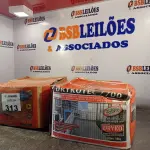 LOTE 313 - 02 CAIXAS DE ARGAMASSA POLIMÉRICA SENDO: DRYKOTEC 7700/5500 18KG. (NO ESTADO, LEILÃO NÃO TEM GARANTIA E NEM DEVOLUÇÃO, SUJEITO A POSSÍVEIS AVARIAS VISÍVEIS/OCULTAS E/OU AUSÊNCIA DE COMPONENTES).