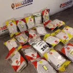 LOTE 260 - 01 LOTE COM VÁRIOS INTERRUPTORES MARCAS E MODELOS DIVERSOS. (NO ESTADO, LEILÃO NÃO TEM GARANTIA E NEM DEVOLUÇÃO, SUJEITO A POSSÍVEIS AVARIAS VISÍVEIS/OCULTAS E/OU AUSÊNCIA DE COMPONENTES).