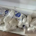 LOTE 213 - 15 PARES DE BOTINAS EM PVC NA COR BRANCA Nº34, 01 NÚMERO 36. (NO ESTADO, LEILÃO NÃO TEM GARANTIA E NEM DEVOLUÇÃO, SUJEITO A POSSÍVEIS AVARIAS VISÍVEIS/OCULTAS E/OU AUSÊNCIA DE COMPONENTES).