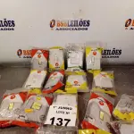 LOTE 137 - 01 LOTE COM VÁRIOS INTERRUPTORES MARCAS E MODELOS DIVERSOS. (NO ESTADO, LEILÃO NÃO TEM GARANTIA E NEM DEVOLUÇÃO, SUJEITO A POSSÍVEIS AVARIAS VISÍVEIS/OCULTAS E/OU AUSÊNCIA DE COMPONENTES).