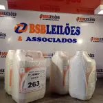 LOTE 263 - 20 LITROS DE ESPUMA HIGIENIZADORA PARA ANTISSEPSIA INSTANTÂNEA DAS MÃOS. (NO ESTADO, LEILÃO NÃO TEM GARANTIA E NEM DEVOLUÇÃO, SUJEITO A POSSÍVEIS AVARIAS VISÍVEIS/OCULTAS E/OU AUSÊNCIA DE COMPONENTES).