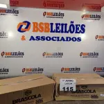 LOTE 115 - 02 CAIXAS COM COLA TUBO ST BRASCOLA 15 FRASCOS CADA. (NO ESTADO, LEILÃO NÃO TEM GARANTIA E NEM DEVOLUÇÃO, SUJEITO A POSSÍVEIS AVARIAS VISÍVEIS/OCULTAS E/OU AUSÊNCIA DE COMPONENTES).