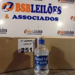 LOTE 251 - 02 CAIXAS COM ÁLCOOL EM GEL 70º INPM COM HIDRATANTE 440G 12 1UNIDADES CADA. (NO ESTADO, LEILÃO NÃO TEM GARANTIA E NEM DEVOLUÇÃO, SUJEITO A POSSÍVEIS AVARIAS VISÍVEIS/OCULTAS E/OU AUSÊNCIA DE COMPONENTES).