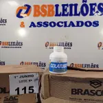 LOTE 115 - 02 CAIXAS COM COLA TUBO ST BRASCOLA 15 FRASCOS CADA. (NO ESTADO, LEILÃO NÃO TEM GARANTIA E NEM DEVOLUÇÃO, SUJEITO A POSSÍVEIS AVARIAS VISÍVEIS/OCULTAS E/OU AUSÊNCIA DE COMPONENTES).