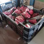 LOTE 377 - 01 LOTE COM VÁRIOS SACHES DE DRYKOPRIMER ACQUA 1LITRO. (NO ESTADO, LEILÃO NÃO TEM GARANTIA E NEM DEVOLUÇÃO, SUJEITO A POSSÍVEIS AVARIAS VISÍVEIS/OCULTAS E/OU AUSÊNCIA DE COMPONENTES).