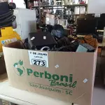 LOTE 273 - 01 LOTE COM VÁRIOS FONES DE OUVIDO E CAIXINHAS DE SOM PARA PC MARCAS E MODELOS DIVERSOS. (NO ESTADO, LEILÃO NÃO TEM GARANTIA E NEM DEVOLUÇÃO, SUJEITO A POSSÍVEIS AVARIAS VISÍVEIS/OCULTAS E/OU AUSÊNCIA DE COMPONENTES).