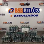 LOTE 215 - 01 LOTE COM GRANDE QUANTIDADE DE BISNAGAS SUVINIL NA COR VERDE. (NO ESTADO, LEILÃO NÃO TEM GARANTIA E NEM DEVOLUÇÃO, SUJEITO A POSSÍVEIS AVARIAS VISÍVEIS/OCULTAS E/OU AUSÊNCIA DE COMPONENTES).