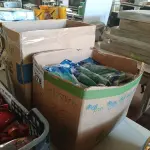 LOTE 378 - 01 LOTE COM GRANDE QUANTIDADE DE LUVAS MARCAS E MODELOS DIVERSOS. (NO ESTADO, LEILÃO NÃO TEM GARANTIA E NEM DEVOLUÇÃO, SUJEITO A POSSÍVEIS AVARIAS VISÍVEIS/OCULTAS E/OU AUSÊNCIA DE COMPONENTES).
