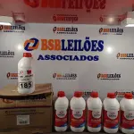 LOTE 185 - 12 FRASCOS DE ADESIVO PLÁSTICO PARA TUBOS E CONEXÕES DE PVC RÍGIDO LINHA ÁGUA FRIA. (NO ESTADO, LEILÃO NÃO TEM GARANTIA E NEM DEVOLUÇÃO, SUJEITO A POSSÍVEIS AVARIAS VISÍVEIS/OCULTAS E/OU AUSÊNCIA DE COMPONENTES).
