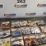 LOTE 262 - 15 – CUECAS (NO ESTADO, NÃO SABEMOS SE FUNCIONA. LEILÃO NÃO TEM GARANTIA E NEM DEVOLUÇÃO, SUJEITO A POSSÍVEIS AVARIAS VISÍVEIS/OCULTAS E/OU AUSÊNCIA DE COMPONENTES)
