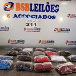 LOTE 211 - 18 – CUECAS DIVERSAS (NO ESTADO, NÃO SABEMOS SE FUNCIONA. LEILÃO NÃO TEM GARANTIA E NEM DEVOLUÇÃO, SUJEITO A POSSÍVEIS AVARIAS VISÍVEIS/OCULTAS E/OU AUSÊNCIA DE COMPONENTES)