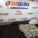 LOTE 229 - 06 – PEÇAS DE ROUPAS FEMININAS (NO ESTADO, NÃO SABEMOS SE FUNCIONA. LEILÃO NÃO TEM GARANTIA E NEM DEVOLUÇÃO, SUJEITO A POSSÍVEIS AVARIAS VISÍVEIS/OCULTAS E/OU AUSÊNCIA DE COMPONENTES)