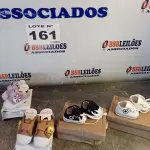 LOTE 161 - 04 – PARES DE CALÇADOS RECÉM-NASCIDO (NO ESTADO, NÃO SABEMOS SE FUNCIONA. LEILÃO NÃO TEM GARANTIA E NEM DEVOLUÇÃO, SUJEITO A POSSÍVEIS AVARIAS VISÍVEIS/OCULTAS E/OU AUSÊNCIA DE COMPONENTES)