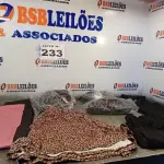 LOTE 233 - 07 – PEÇAS DE ROUPAS FEMININAS (NO ESTADO, NÃO SABEMOS SE FUNCIONA. LEILÃO NÃO TEM GARANTIA E NEM DEVOLUÇÃO, SUJEITO A POSSÍVEIS AVARIAS VISÍVEIS/OCULTAS E/OU AUSÊNCIA DE COMPONENTES)
