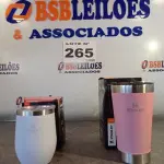 LOTE 265 - 02 - COPOS TÉRMICOS (NO ESTADO, NÃO SABEMOS SE FUNCIONA. LEILÃO NÃO TEM GARANTIA E NEM DEVOLUÇÃO, SUJEITO A POSSÍVEIS AVARIAS VISÍVEIS/OCULTAS E/OU AUSÊNCIA DE COMPONENTES)
