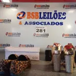 LOTE 281 - 02 – PARES DE CALÇADOS FEMININO Nº 37 (NO ESTADO, NÃO SABEMOS SE FUNCIONA. LEILÃO NÃO TEM GARANTIA E NEM DEVOLUÇÃO, SUJEITO A POSSÍVEIS AVARIAS VISÍVEIS/OCULTAS E/OU AUSÊNCIA DE COMPONENTES)