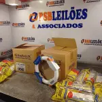 LOTE 098 - 02 CAIXAS COM LÂMPADAS FLUORESCENTES CIRCULARES 22W/6400K COM 06 PEÇAS CADA E 10 REATORES. (NO ESTADO, LEILÃO NÃO TEM GARANTIA E NEM DEVOLUÇÃO, SUJEITO A POSSÍVEIS AVARIAS VISÍVEIS/OCULTAS E/OU AUSÊNCIA DE COMPONENTES).