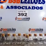 LOTE 392 - 15 – VIDROS DE TEMPEIROS DIVERSOS (NO ESTADO, NÃO SABEMOS SE FUNCIONA. LEILÃO NÃO TEM GARANTIA E NEM DEVOLUÇÃO, SUJEITO A POSSÍVEIS AVARIAS VISÍVEIS/OCULTAS E/OU AUSÊNCIA DE COMPONENTES)