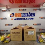 LOTE 118 - 02 CAIXAS COM LÂMPADAS FLUORESCENTES CIRCULARES 22W/6400K COM 06 PEÇAS CADA E 10 REATORES. (NO ESTADO, LEILÃO NÃO TEM GARANTIA E NEM DEVOLUÇÃO, SUJEITO A POSSÍVEIS AVARIAS VISÍVEIS/OCULTAS E/OU AUSÊNCIA DE COMPONENTES).