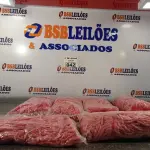 LOTE 042 - 06 REFIS PARA ESFREGÃO. (NO ESTADO, LEILÃO NÃO TEM GARANTIA E NEM DEVOLUÇÃO, SUJEITO A POSSÍVEIS AVARIAS VISÍVEIS/OCULTAS E/OU AUSÊNCIA DE COMPONENTES).