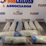 LOTE 037 - 10 REFIS PARA ESFREGÃO MARCAS E MODELOS DIVERSOS. (NO ESTADO, LEILÃO NÃO TEM GARANTIA E NEM DEVOLUÇÃO, SUJEITO A POSSÍVEIS AVARIAS VISÍVEIS/OCULTAS E/OU AUSÊNCIA DE COMPONENTES).