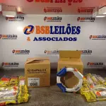 LOTE 098 - 02 CAIXAS COM LÂMPADAS FLUORESCENTES CIRCULARES 22W/6400K COM 06 PEÇAS CADA E 10 REATORES. (NO ESTADO, LEILÃO NÃO TEM GARANTIA E NEM DEVOLUÇÃO, SUJEITO A POSSÍVEIS AVARIAS VISÍVEIS/OCULTAS E/OU AUSÊNCIA DE COMPONENTES).
