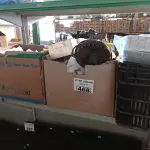 LOTE 468 - 01 LOTE COM MATERIAIS ELÉTRICOS DIVERSOS. (NO ESTADO, LEILÃO NÃO TEM GARANTIA E NEM DEVOLUÇÃO, SUJEITO A POSSÍVEIS AVARIAS VISÍVEIS/OCULTAS E/OU AUSÊNCIA DE COMPONENTES).