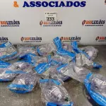 LOTE 233 - 01 LOTE COM VÁRIOS CONJUNTOS DE NEBULIZAÇÃO. (NO ESTADO, LEILÃO NÃO TEM GARANTIA E NEM DEVOLUÇÃO, SUJEITO A POSSÍVEIS AVARIAS VISÍVEIS/OCULTAS E/OU AUSÊNCIA DE COMPONENTES).