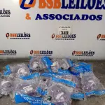 LOTE 349 - 01 LOTE COM VÁRIOS CONJUNTOS DE NEBULIZAÇÃO. (NO ESTADO, LEILÃO NÃO TEM GARANTIA E NEM DEVOLUÇÃO, SUJEITO A POSSÍVEIS AVARIAS VISÍVEIS/OCULTAS E/OU AUSÊNCIA DE COMPONENTES).