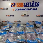 LOTE 358 - 01 LOTE COM VÁRIOS CONJUNTOS DE NEBULIZAÇÃO. (NO ESTADO, LEILÃO NÃO TEM GARANTIA E NEM DEVOLUÇÃO, SUJEITO A POSSÍVEIS AVARIAS VISÍVEIS/OCULTAS E/OU AUSÊNCIA DE COMPONENTES).