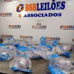 LOTE 233 - 01 LOTE COM VÁRIOS CONJUNTOS DE NEBULIZAÇÃO. (NO ESTADO, LEILÃO NÃO TEM GARANTIA E NEM DEVOLUÇÃO, SUJEITO A POSSÍVEIS AVARIAS VISÍVEIS/OCULTAS E/OU AUSÊNCIA DE COMPONENTES).